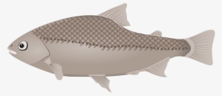 Fishing Vertebrate Siamese Fighting Fish Computer Icons - Clip Art