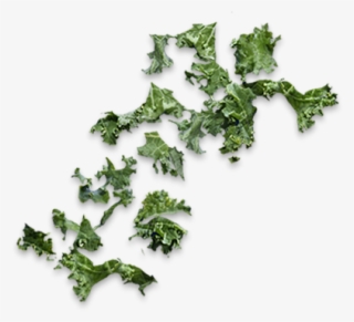 We'll Keep Tabs On Your Toppings - Parsley