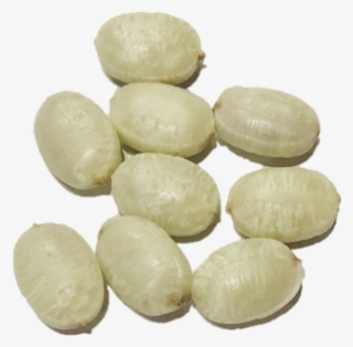 Sugar Free Chocolate Limes - Pebble