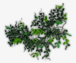 06 Feb 2009 - Creepers Png For Photoshop