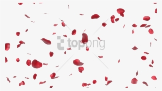 Free Png Rose Petals Transparent Png Image With Transparent - Rose Petals Transparent Png