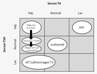 Serum T4 - Cartoon