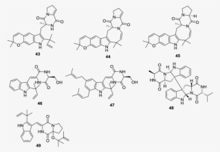 Structures Of 2,5 Dkps From Marine Derived Fungi Of - Endophytic Metabolites