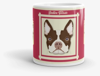 Boston Terrier Is Now Available - Boston Terrier