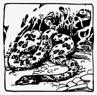 Snakes Line Art Computer Icons Drawing Visual Arts - Illustration