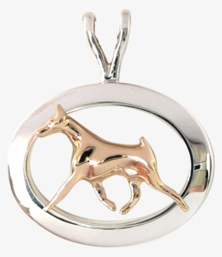 14k Gold Or Sterling Silver Doberman Pinscher In Glossy - Locket