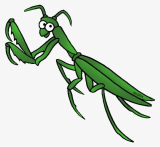 Praying Mantis Clipart Real - Praying Mantis Clipart