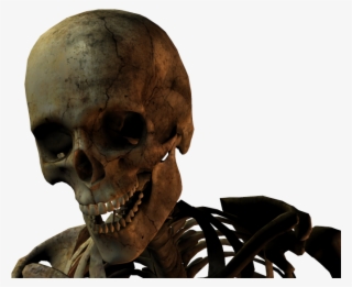 3d Skull Photo - Skull