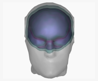 External Surface Of The Cortex Example With Three Surfaces