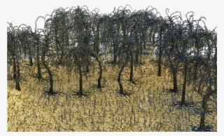 Skull N Bones N Trees - Willow