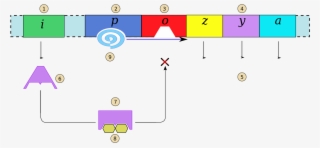 Operon Presence Lactose Numeros - Operon Lactose