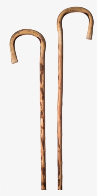 Magura From Natural Wild Olive Wood - Olive Wood Walking Cane