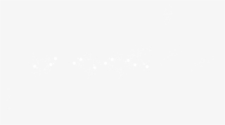 Slide01 Level 05 - Twitter White Bird Logo