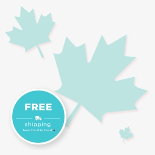 Buy Now - Maple Leaf