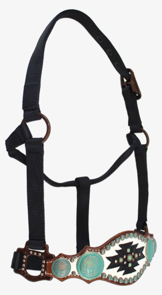 Horse Halters, Western Tack, Horse Tack, Show Horses, - Halter