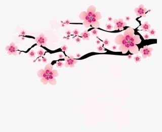 Ume Blossom Clipart Apricot Blossom - Chinese Plum Blossom Clipart