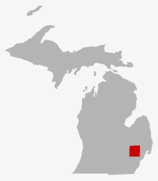 New Zebedee Michigan Map
