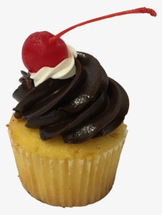 Boston Cream
