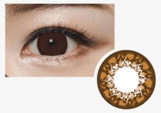 Geolica Cafe Mimi Cappuccino 2box Contact Lenses Geolicar - Geo Mimi Cafe Cappuccino Grey