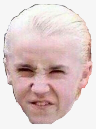 This Needs No Explanation - Harry Potter