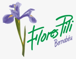Flores Pili Madrid - Iris Versicolor