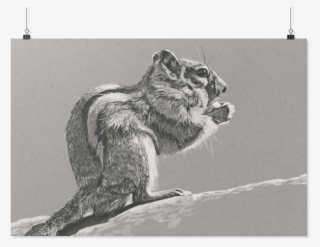 Chipmunk Poster By Yue Zeng - Grizzly Bear