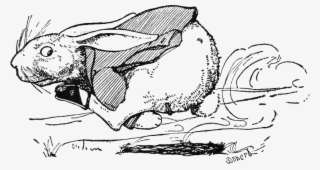 Peter Rabbit Albert 28 - Cartoon