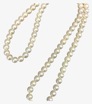 Necklace Clipart String Pearl - Pearl