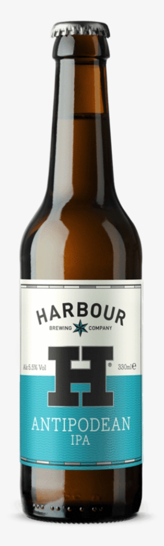 Harbour Pilsner