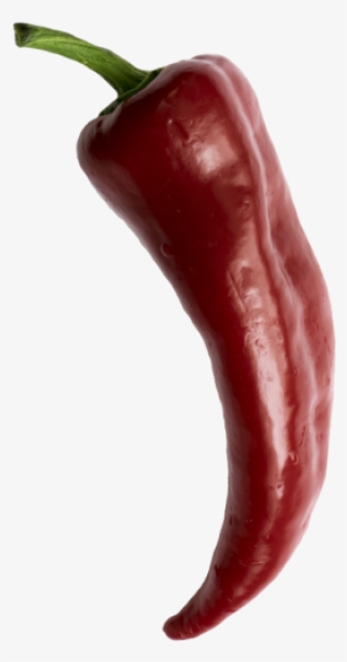 Red Pepper - Bird's Eye Chili