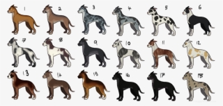Download - Ancient Dog Breeds