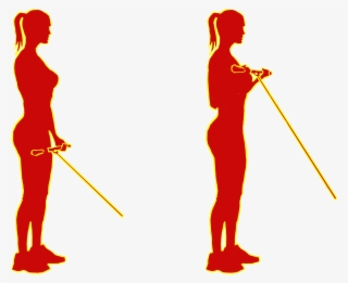 Healthy Clipart Bicep Curl - Illustration