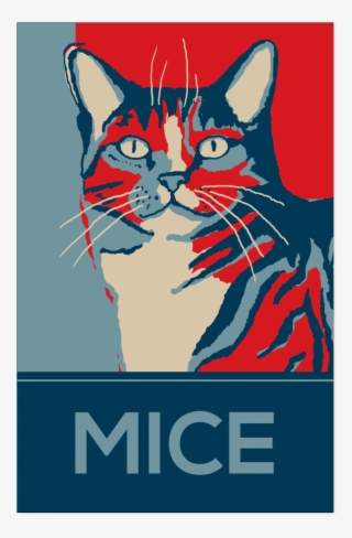 Domestic Short-haired Cat