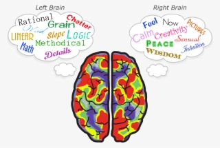 Brex Golf Putt With Both Sides Of Your Brain - Side Of Brain Transparent