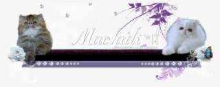 Macladì Himmies - Floral Design