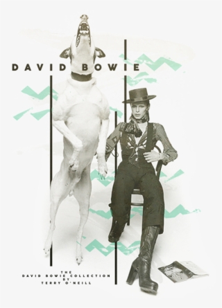 Terry O Neill David Bowie