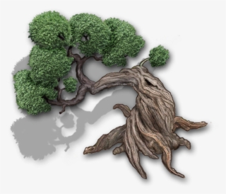 Bonsai Tree Darker Shadow Med - Broccoli