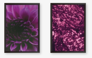 Purple Tulips With Abstract Art Set Of 2 Frames - Dahlia