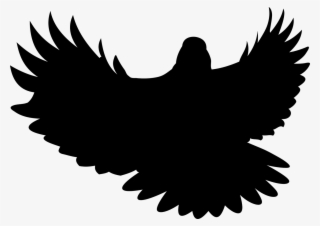 Bird Wings Pen - Illustration