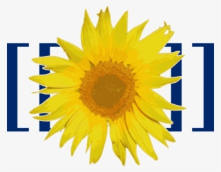 Source - Mediawiki Logo