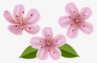 Free Png Download Spring Flowers Png Images Background - Transparent Flower Clip Art