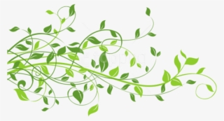 Free Png Download Spring Decor With Leaves Png Images - Transparent Leaf Png