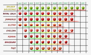 Kontakt - Ethiopia Worksheets