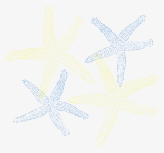Starfish - Starfish Clip Art