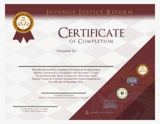 Juvenile Justice Reform Certificate - Egypt Central Egypt Central