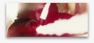 Image - Close-up