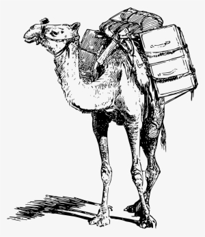 This Free Icons Png Design Of Laden Camel