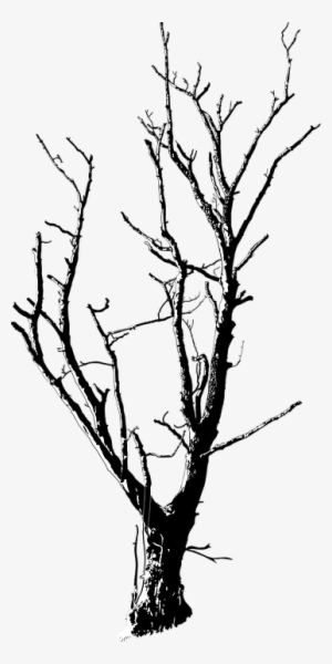 Raised Hands Png - Dead Tree Black White