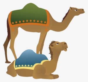 Camel Png Clipart - Camel Clipart