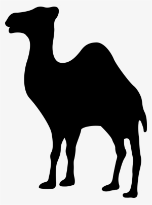 Camel Logo Png Transparent - Camel Svg